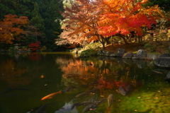 紅 （ 赤の世界 ）
