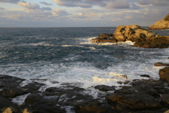 散歩コースの海