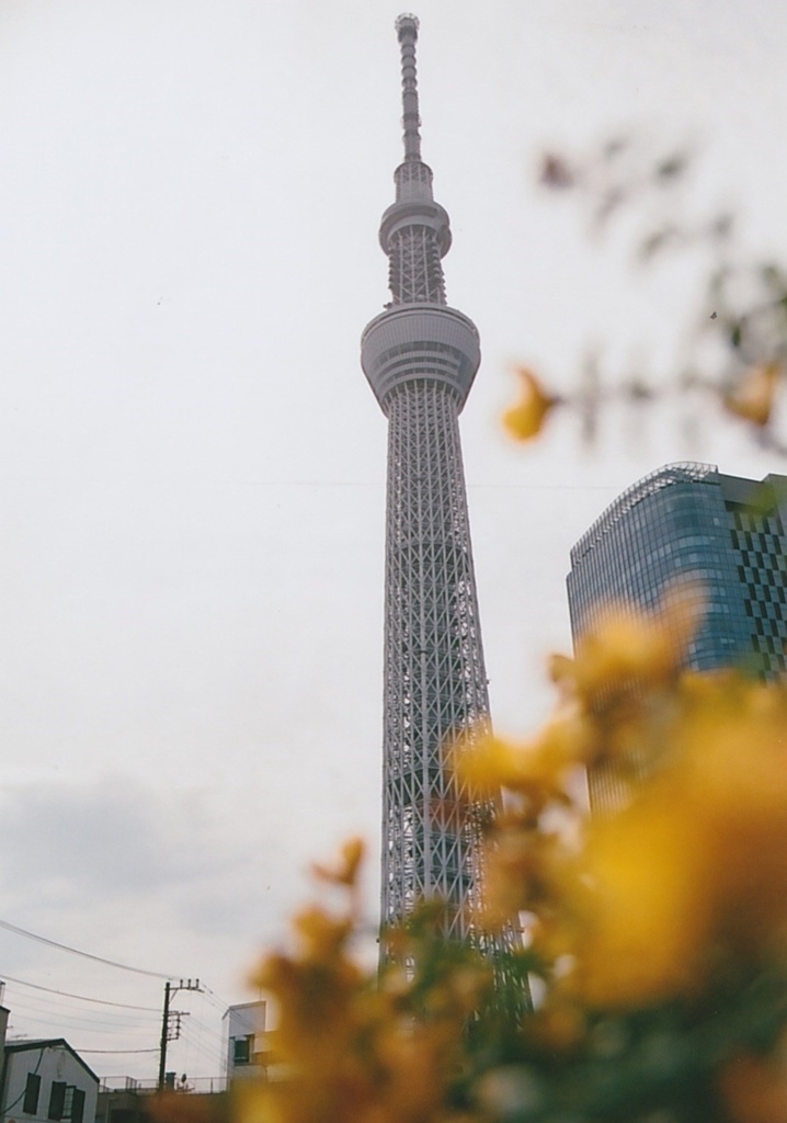 ついに‥