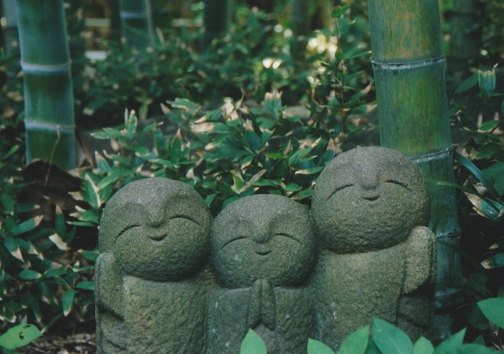 見つけたぁ…