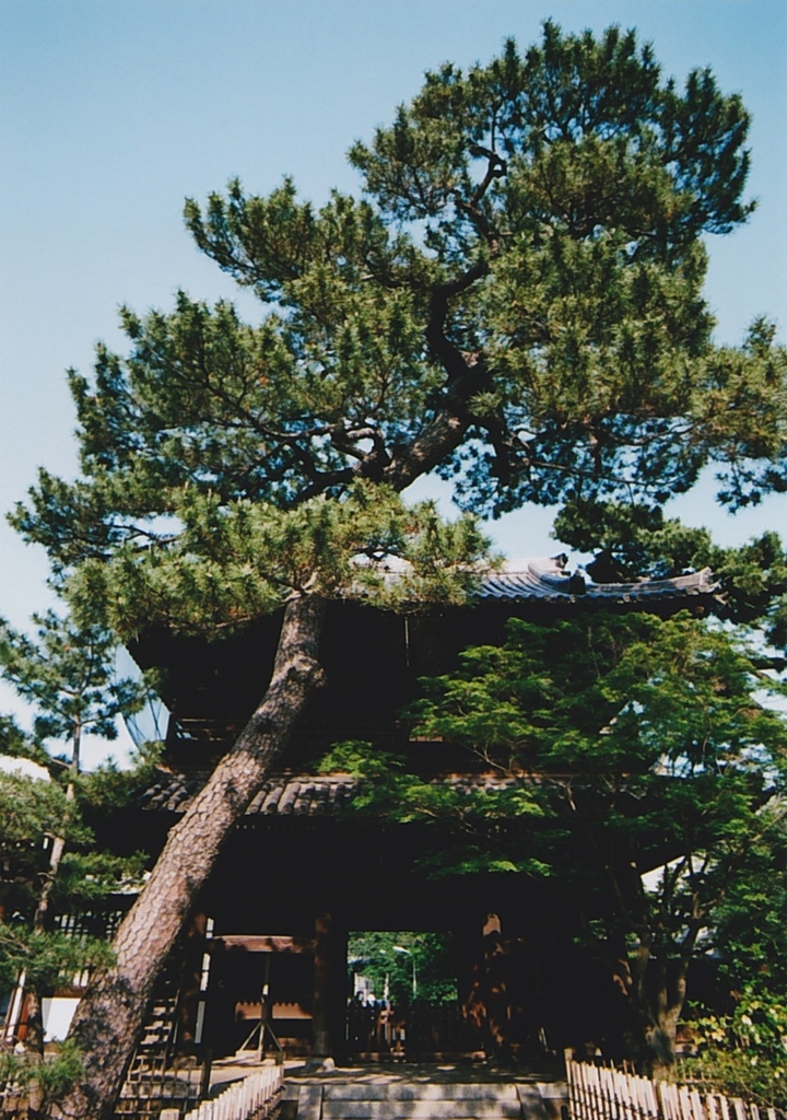 泉岳寺にて…構図違い