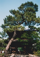 泉岳寺にて…構図違い