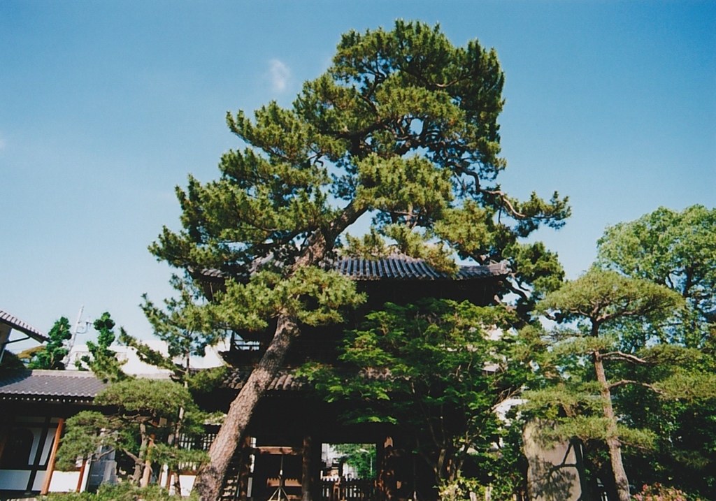 泉岳寺にて…