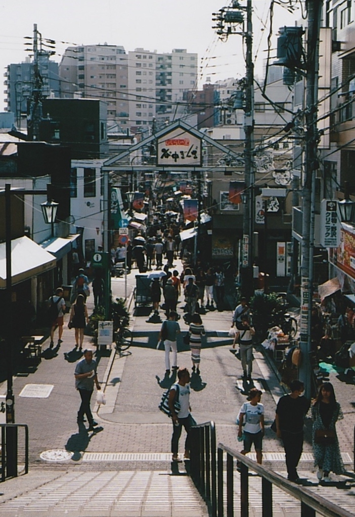 谷中にて…