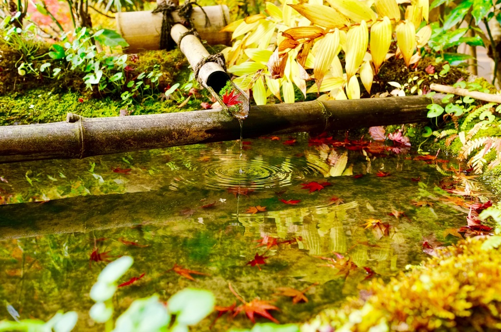 水場の紅葉