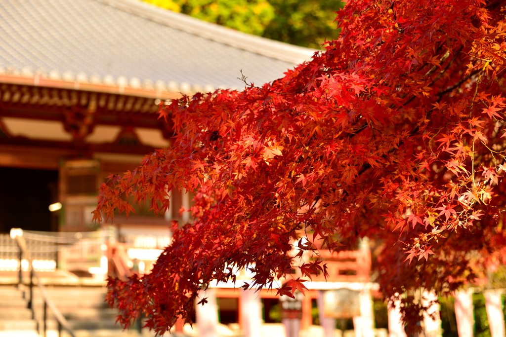 醍醐寺金堂