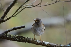 エネルギーが必要