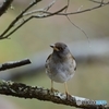 エネルギーが必要
