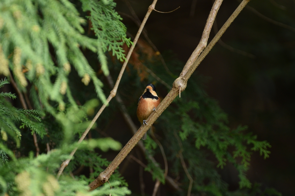 農道を抜けて。
