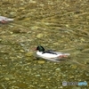 Follow You