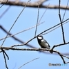 春っていいね♪