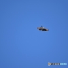 さらなる上空