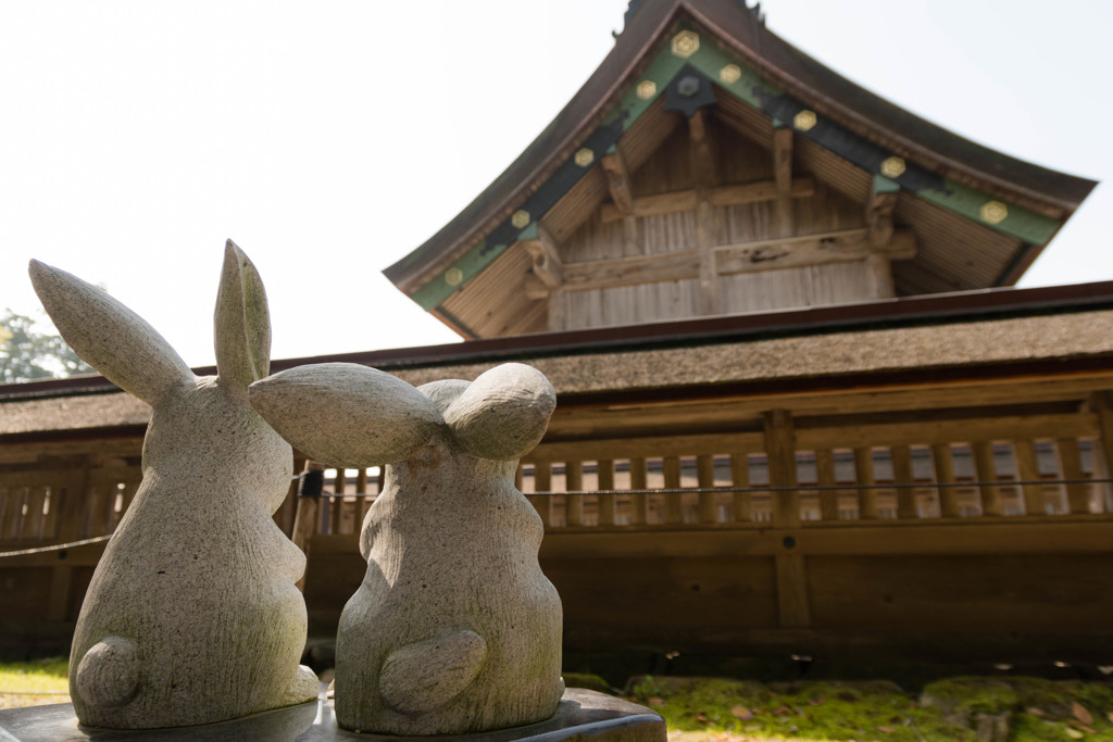 島根旅行記５　神の社を眺める兎