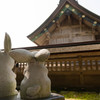 島根旅行記５　神の社を眺める兎