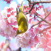 2019.2.24 (2)