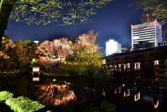 2017.4.2 (11)
