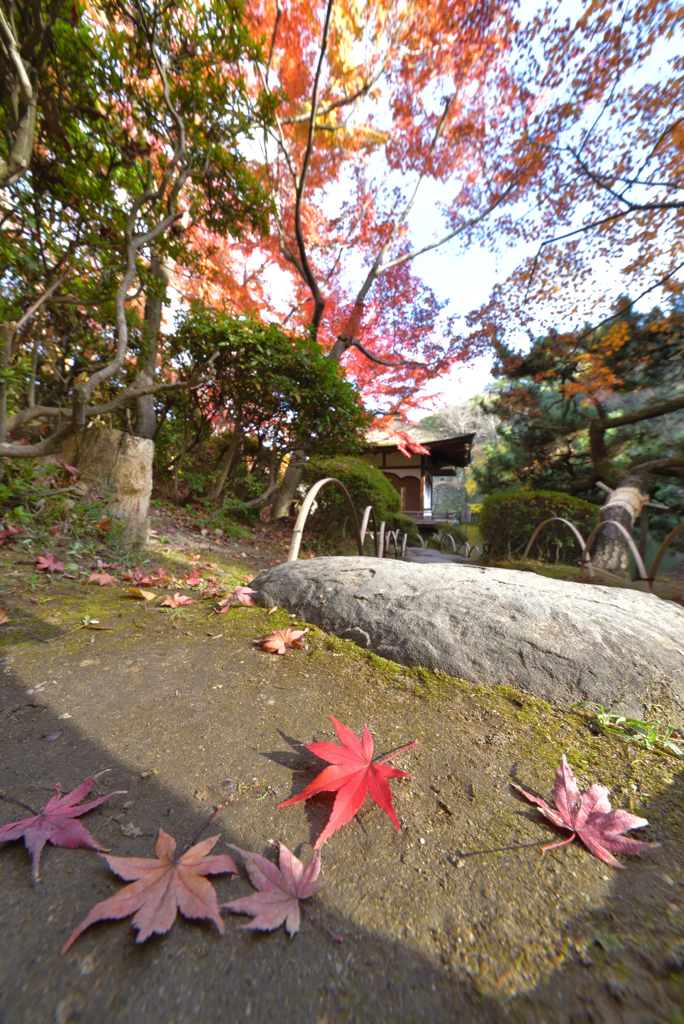 2016.12.2 (3)