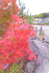 2016.11.23 (1)