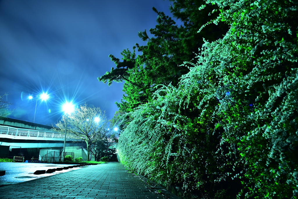 2017.4.8 (2)