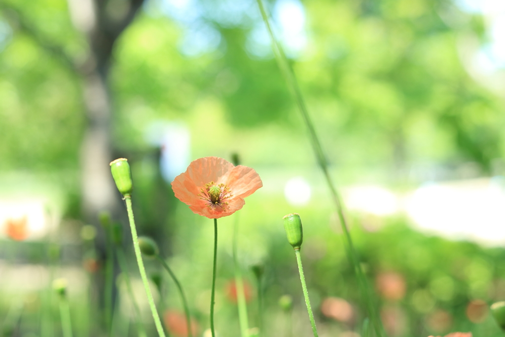 2016.4.30 (1)