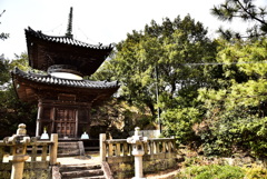 2017.3.7 (4)