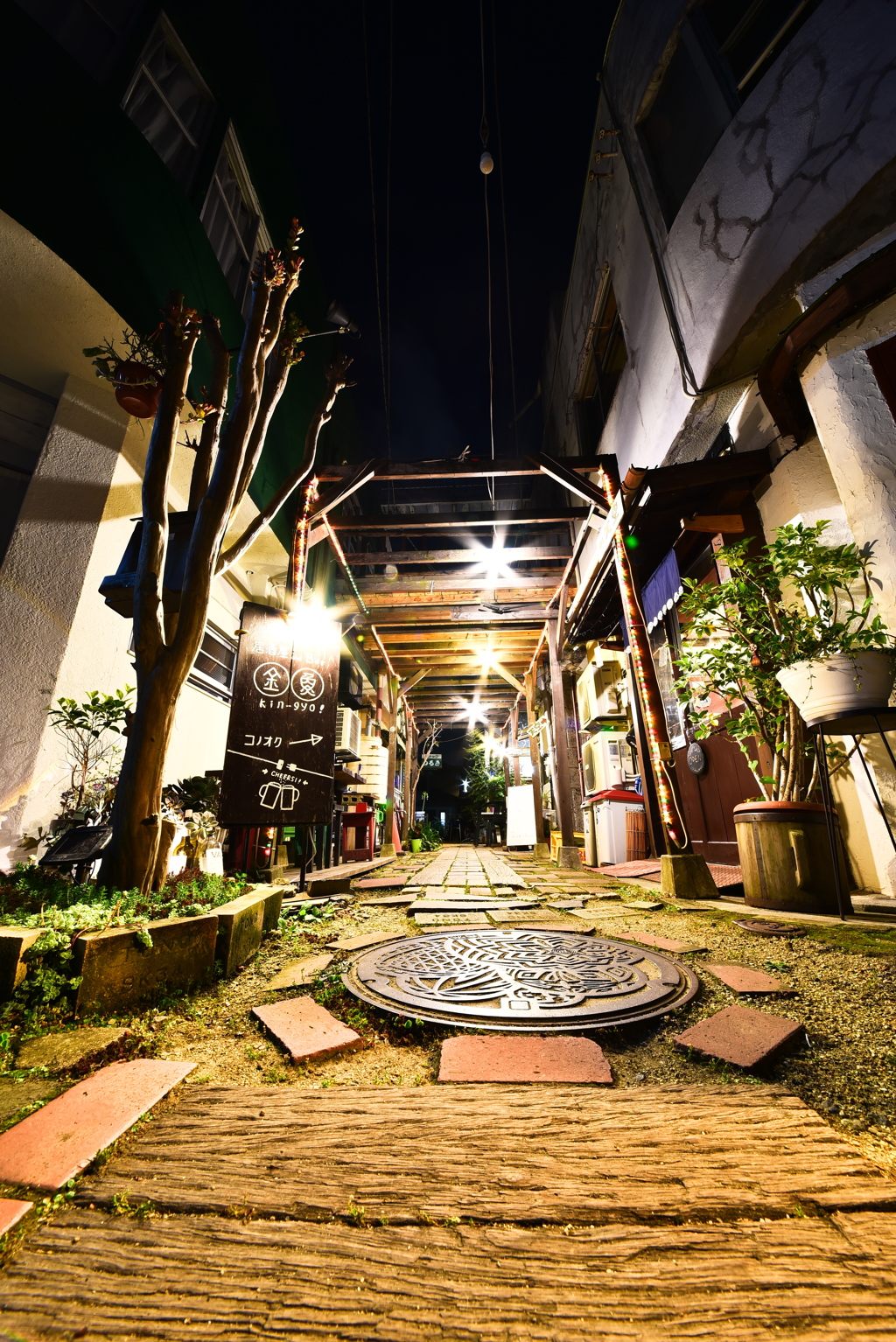 2017.7.12 (6)