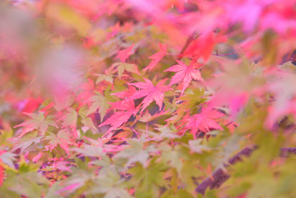 2016.11.23 (1)