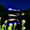 和歌山城と菜の花