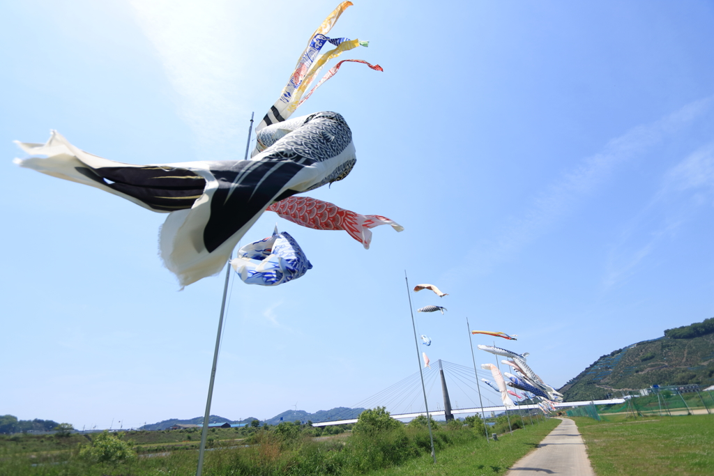 2016.5.2 (24)