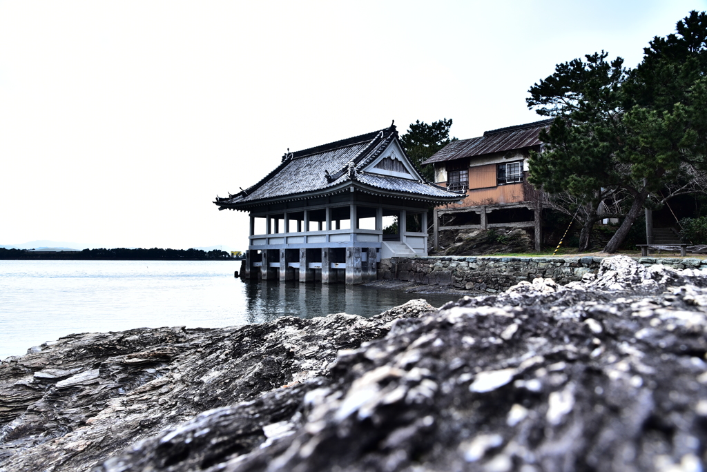 2017.3.7 (3)