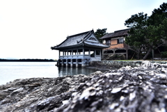 2017.3.7 (3)