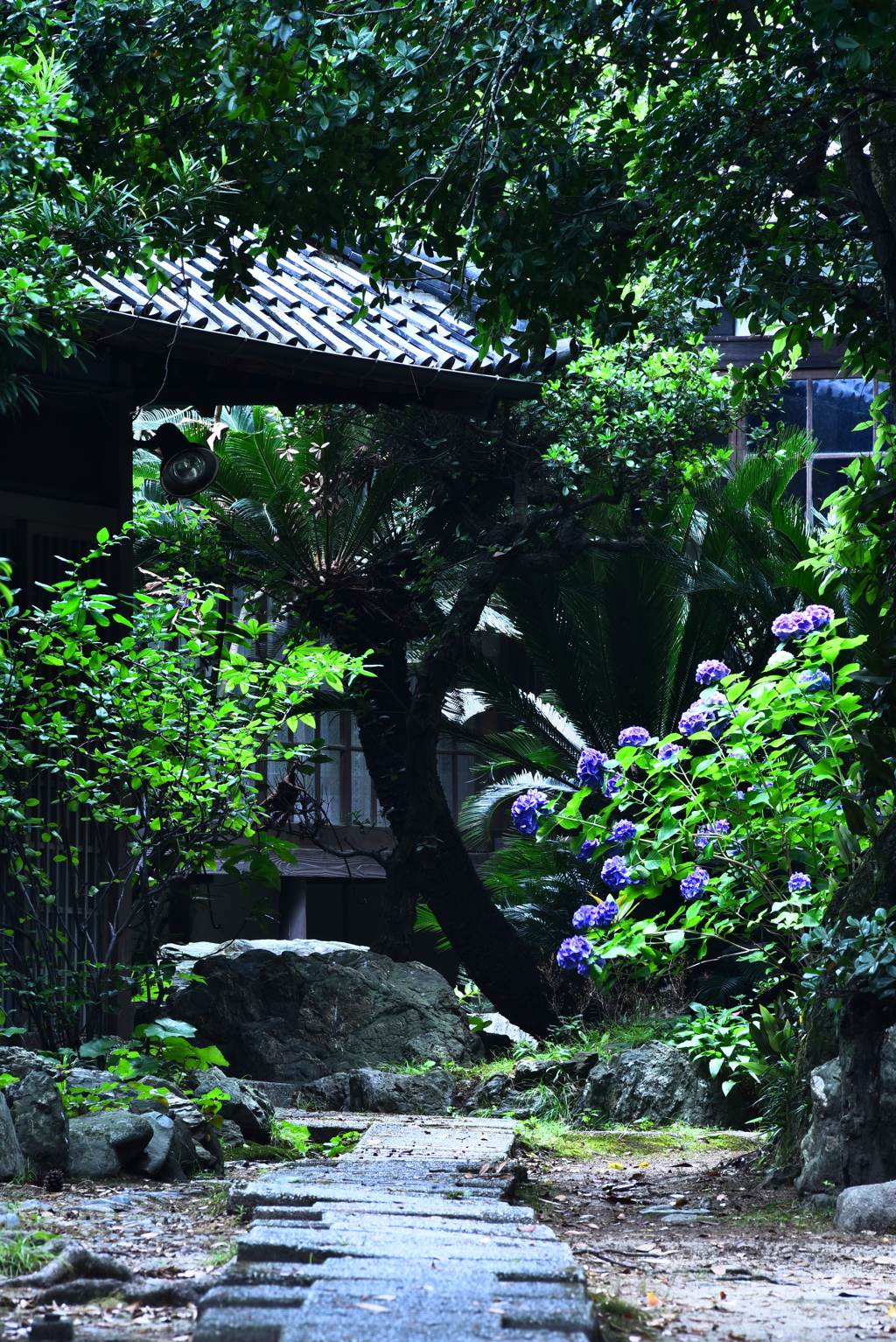 2017.6.24 (3)