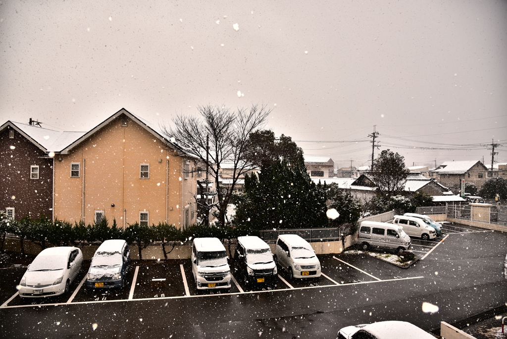 2017.1.24 (1)