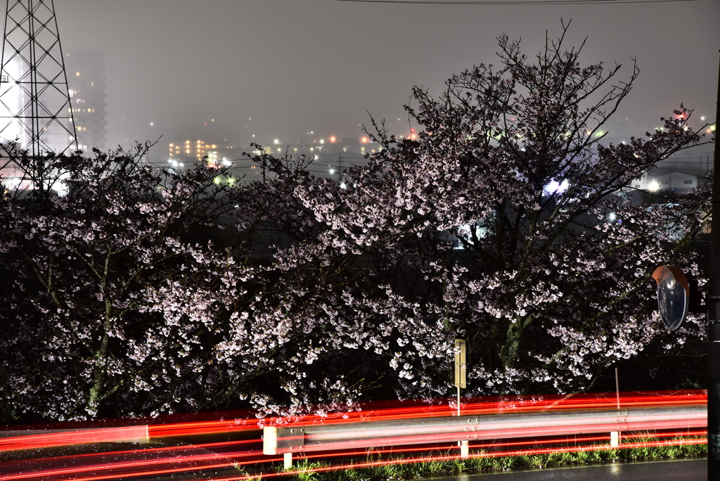 2017.4.8 (3)