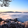冬の雲海