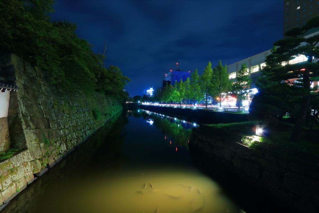 2016.10.1 (4)