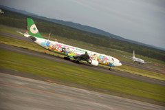 EVE AIR  AIRBUS A330-300 ①