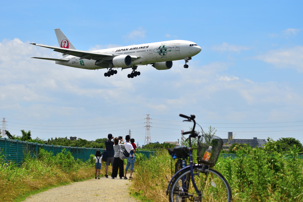 家族と飛行機