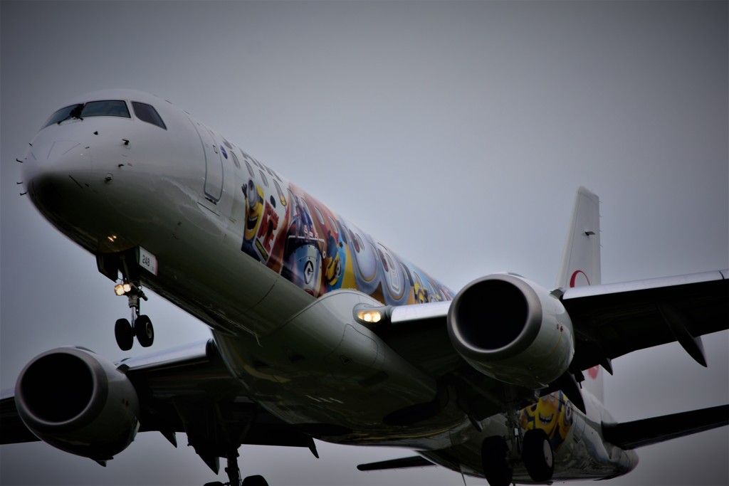 JAL ミニオンジェット①