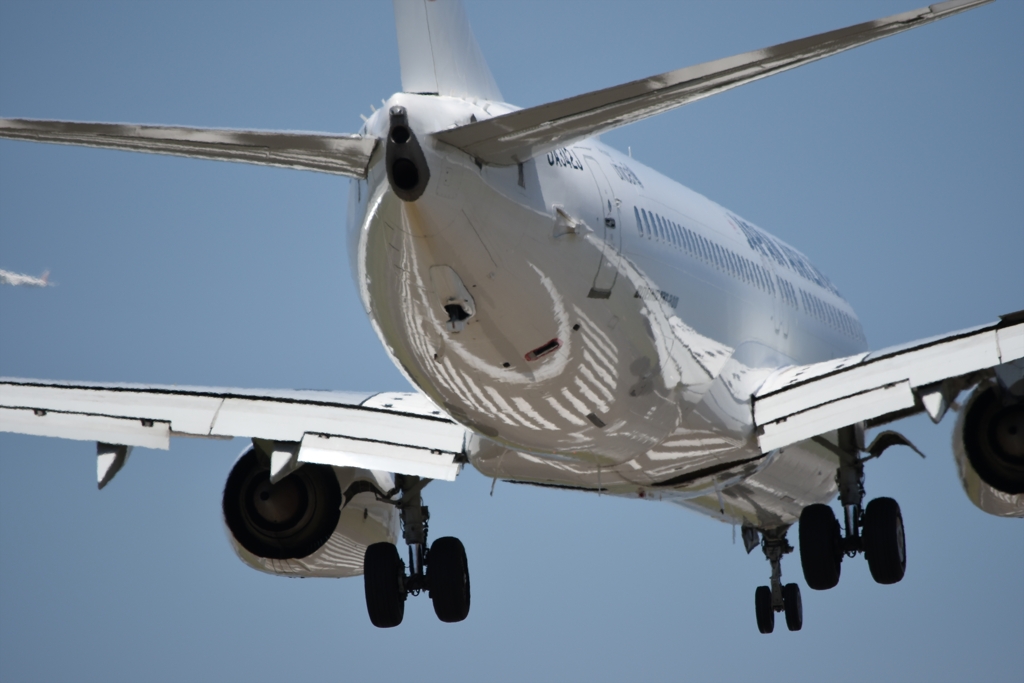 JAL Boeing 737-846