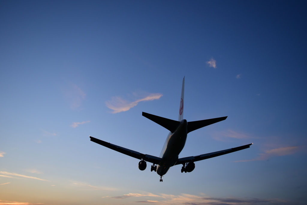 JAL BOEING767夕刻