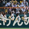Junp TigersGirlS 2024.9.3