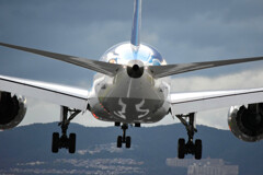 Boeing 787-8 Dreamliner 32