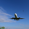 飛行機とトンボ
