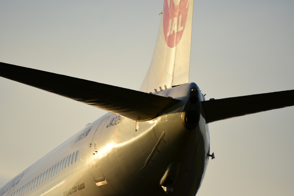お尻のアップ　BOEING 737-800
