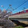 桜×飛鳥川×近鉄