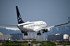 STAR ALLIANCE  Boeing 737