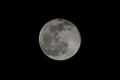 full moon  2020/01/11