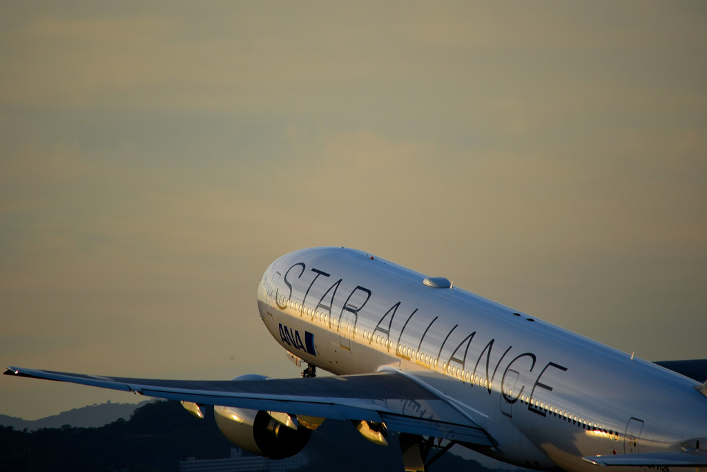 夕陽を浴びたSTAR ALLIANCE