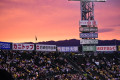 甲子園球場の夕焼け